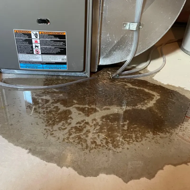 Appliance Leak Cleanup in Waimea, HI