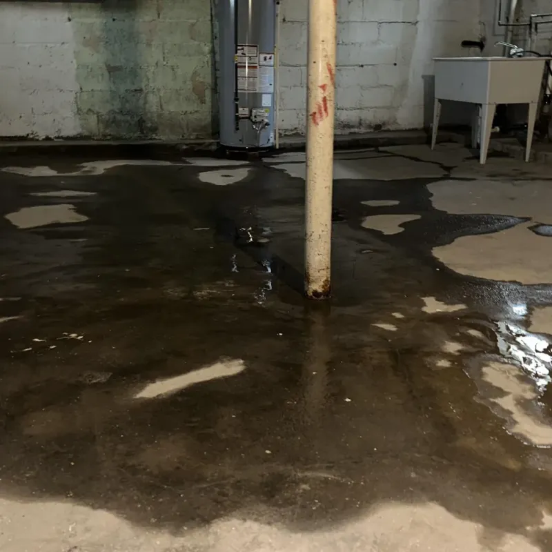 Emergency Water Extraction And Removal in Waimea, HI